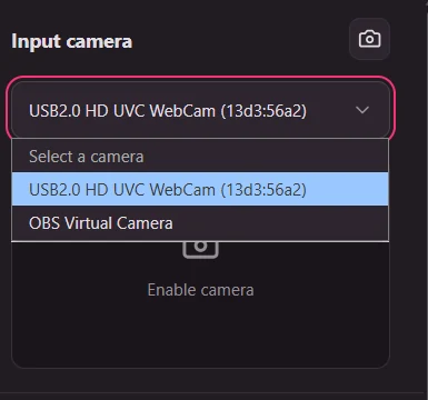 Input camera dropdown in the Windows client, showing the physical USB webcam as an input option.